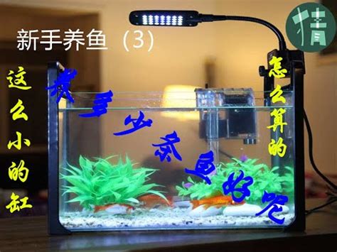 魚缸 魚數量|魚缸魚數量精準計算